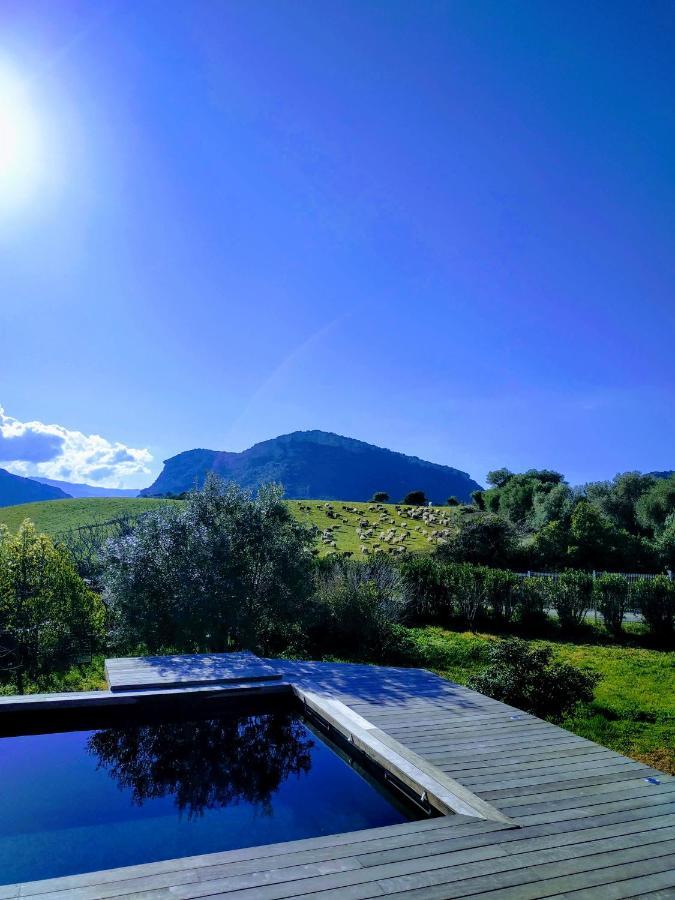 Studio Lamaroja Otel Patrimonio Dış mekan fotoğraf